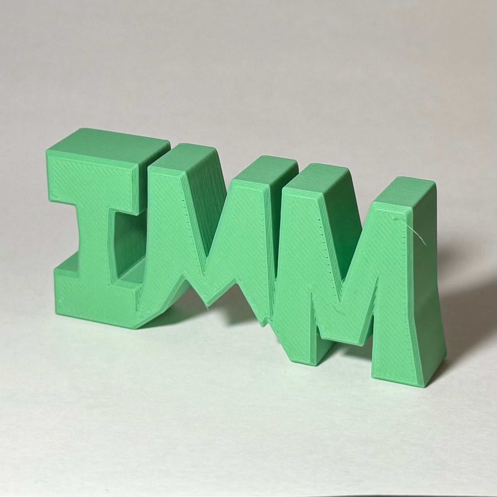 IMM Logo