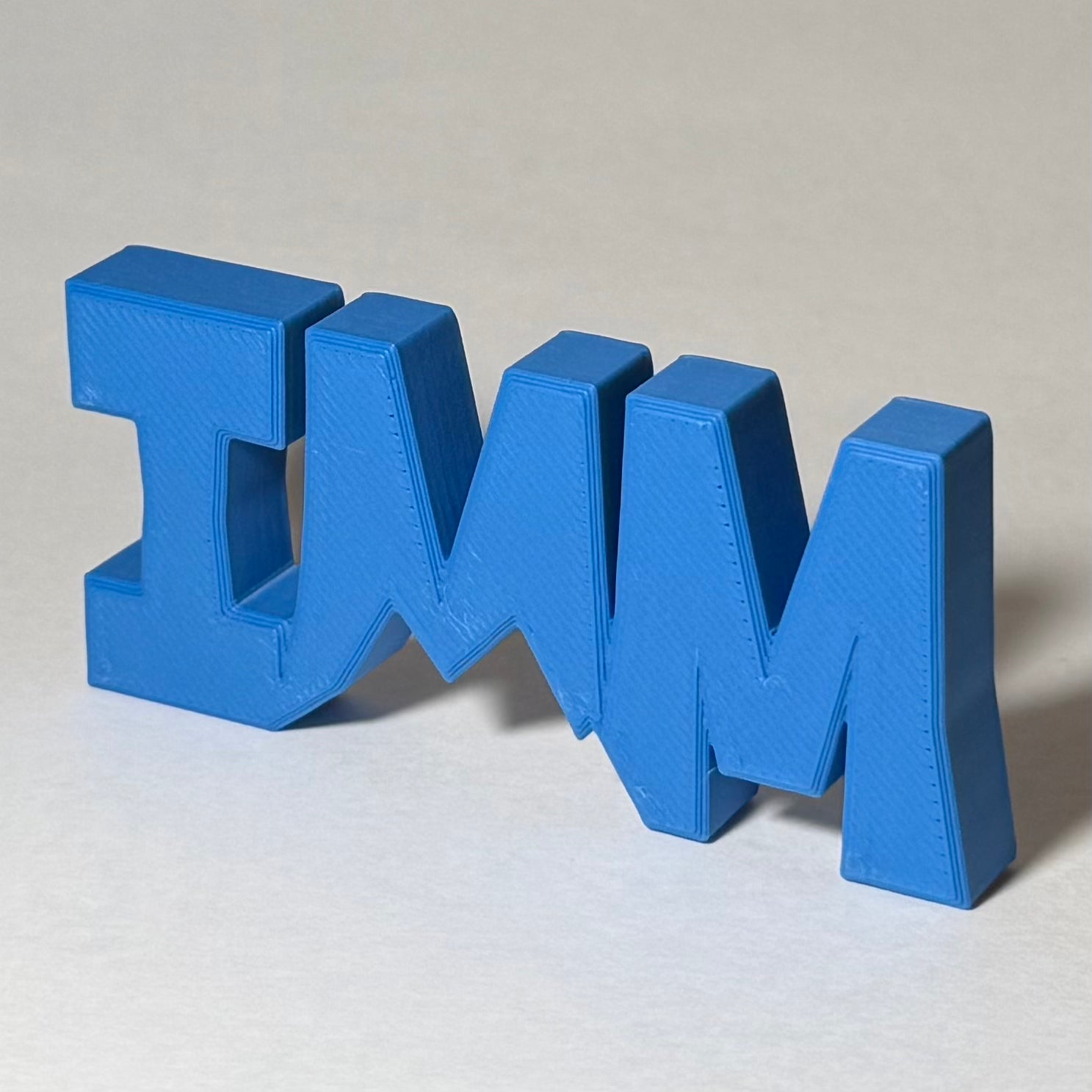 IMM Logo