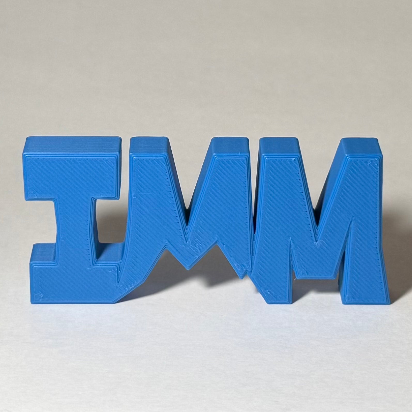 IMM Logo